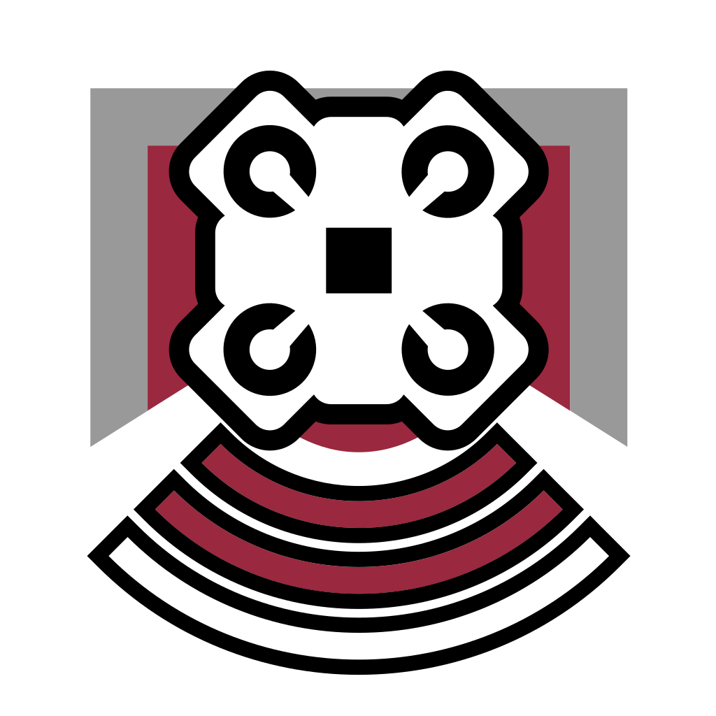 Echo Icon